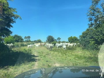 Fazenda  Venda