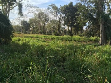 Fazenda  Venda